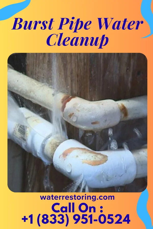 Burst Pipe Water Cleanup in Lake Mohegan, NY