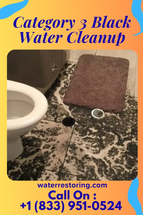 Category 3 Black Water Cleanup in Lake Mohegan, NY