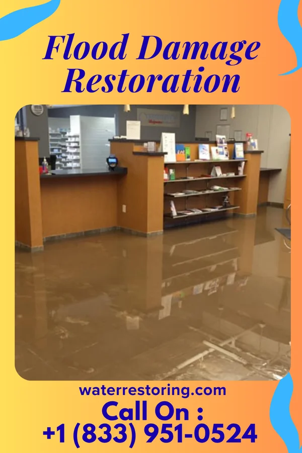 Flood Damage Restoration in Lake Mohegan, NY
